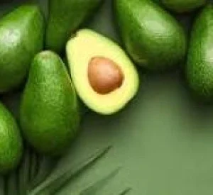 Avocado Fruit Products