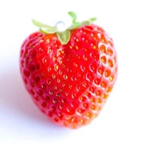 Strawberry Fruit Products